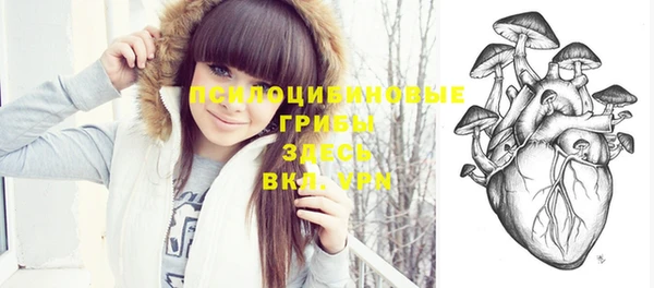 стафф Зерноград