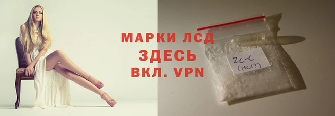 стафф Зерноград