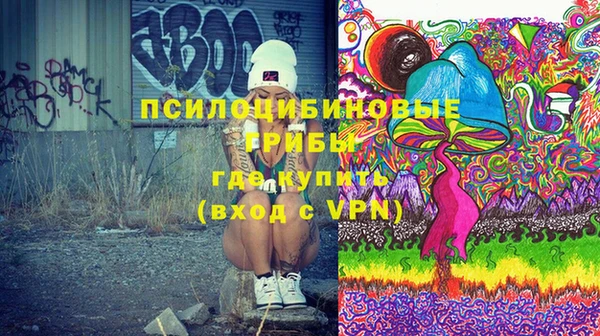 стафф Зерноград
