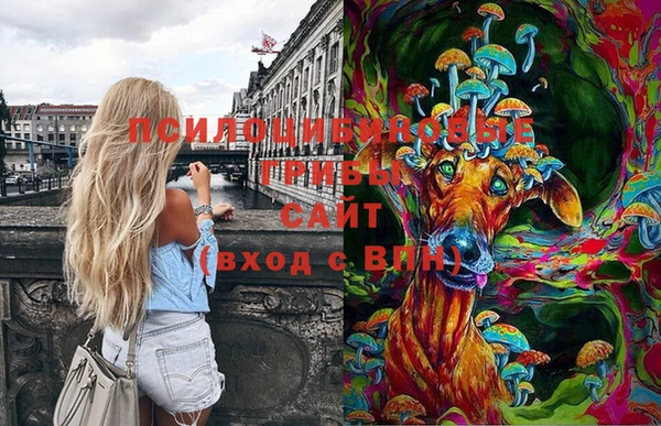 дмт Иннополис
